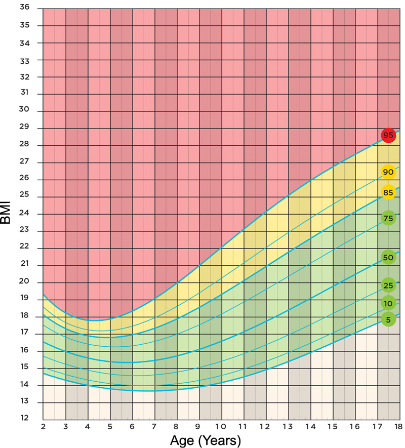 Healthy Weight Calculator For Children And Teenagers