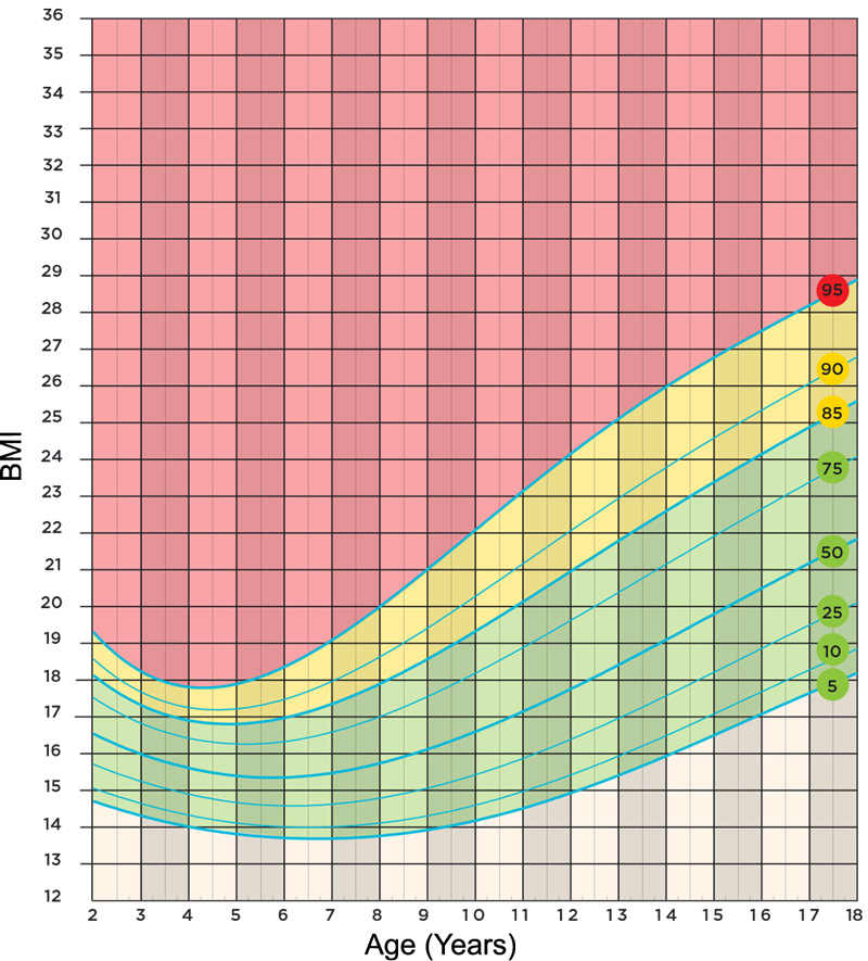 Children S Height And Weight Chart Percentile Calculator ...